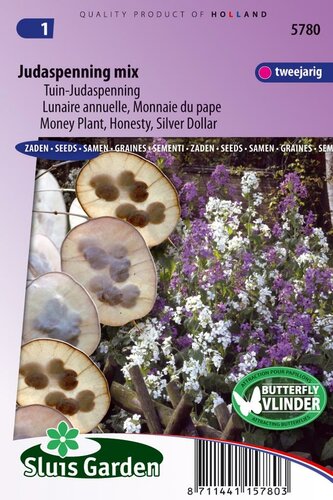 Lunaria Annua zaden Judaspenning Mix tuin