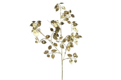 Lunaria 67 cm goud