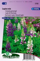 Lupinus Hartwegii zaden Choice Mix Lupine