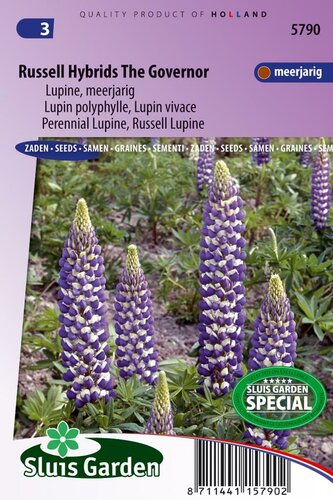 Lupinus zaden Russell Hybrid The Governor lupine