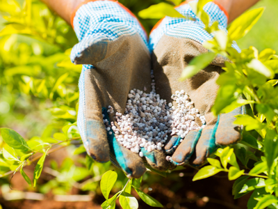 Mest voor tuinplanten