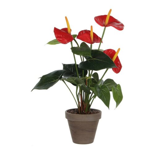 Mica Anthurium rood