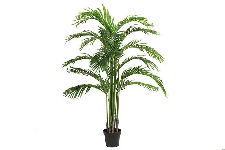 Mica areca zijde 160 cm groen