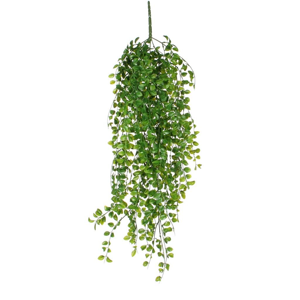 Mica ficus hang 81 cm