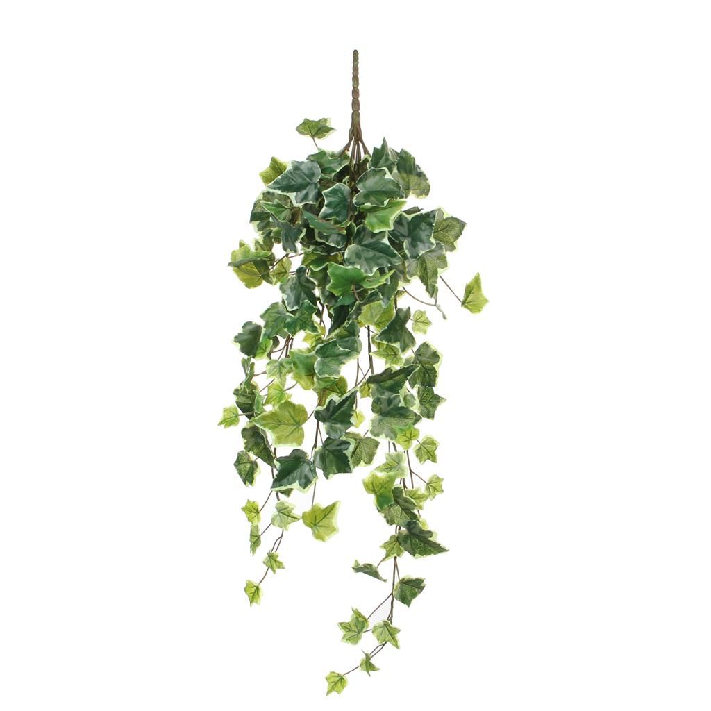 Mica hedera hang 71 cm