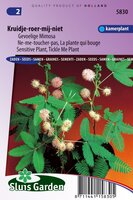 Mimosa Pudica zaden Kruidje-Roer-Me-Niet