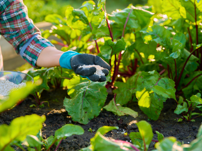 Moestuinmest