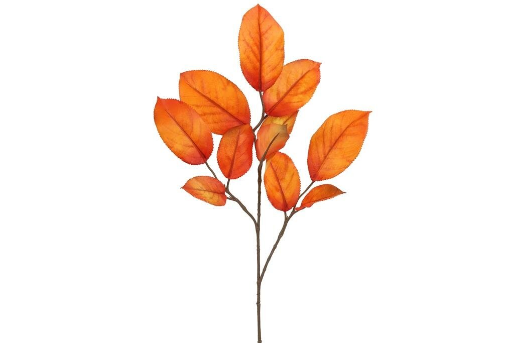 Morus 69 cm oranje