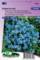 Myosotis Indigo zaden Vergeet-Mij-Niet blauw