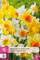 Narcis grootkronig mix 15 bollen