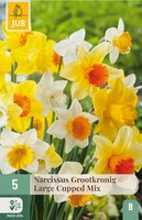 Narcis grootkronig mix 5 bollen