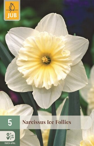 Narcis ice follies 5 bollen - afbeelding 1