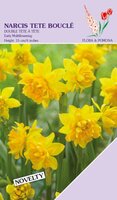 Narcis tete boucle 12 bollen - afbeelding 2