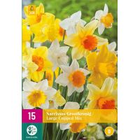 Narcis grootkronig mix 15 bollen