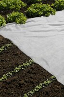 Nature afdekvlies 10 x 2 meter wit - afbeelding 2