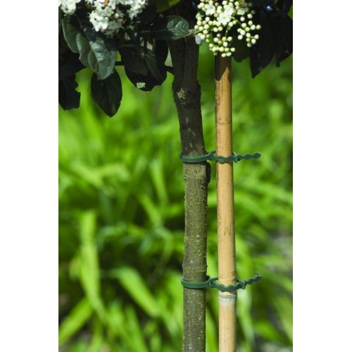 Nature bindband met rattenstaartsluiting 17 cm - afbeelding 2