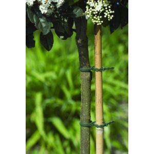 Nature bindband met rattenstaartsluiting 35 cm - afbeelding 2