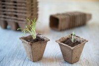 Nature biopotjes 6x6 cm vierkant set 20 stuks - afbeelding 2