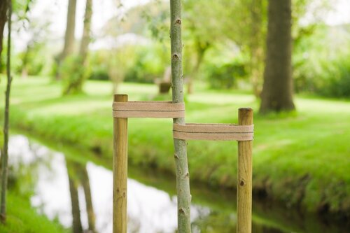 Nature boomband jute naturel 200 cm - afbeelding 2