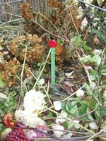 Nature compost thermometer - afbeelding 2