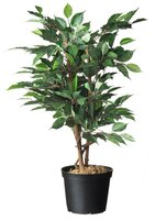 Nature container zwart 3 liter 4 stuks - afbeelding 2