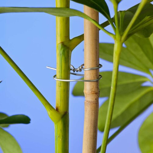 Nature gegalvaniseerd draad 0.7 mm - afbeelding 2