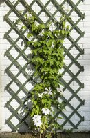 Nature houten klimrek groen 50 x 150 cm fsc - afbeelding 2