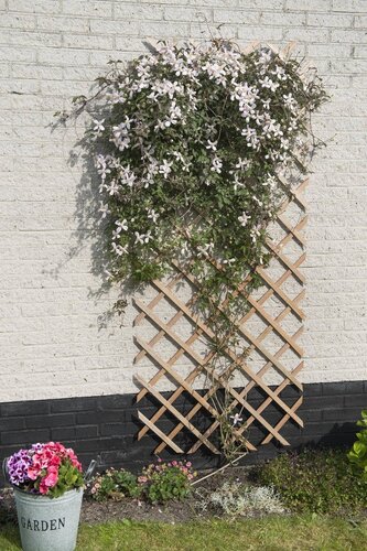 Nature houten klimrek naturel 50 x 150 cm fsc - afbeelding 2