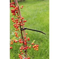 Nature kabelbinders tyraps nylon zwart 30 cm 25 stuks - afbeelding 3