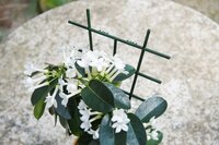 Nature kamerplantenrekjes 37x23 cm 2 stuks - afbeelding 2