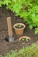 Nature kweek biopotten 14 cm 3 stuks - afbeelding 2