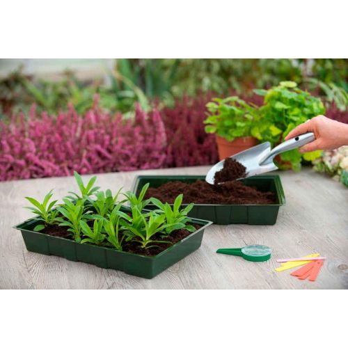 Nature kweekbak 23.5x35 cm set a 5 stuks - afbeelding 2