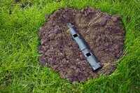 Nature mollenval buis model - afbeelding 2