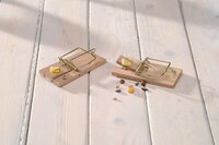 Nature muizenval hout 10x4,5 cm 2 stuks - afbeelding 2