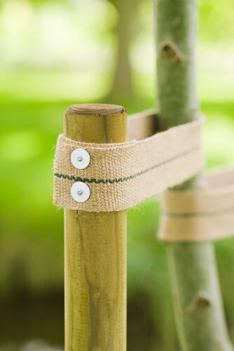 Nature nagels plat 10 stuks - afbeelding 2