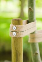 Nature nagels plat 10 stuks - afbeelding 2