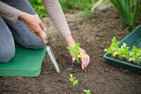 Nature onkruidschepje - afbeelding 2