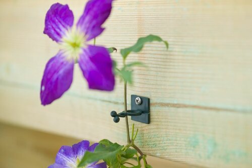Nature plantclip in- & outdoor 2 maten - afbeelding 3