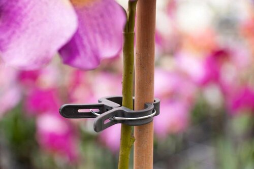 Nature plantenclip 24 mm set a 10 stuks - afbeelding 2