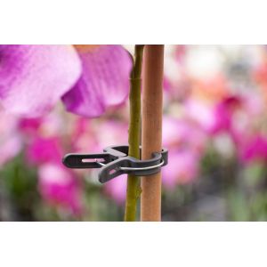 Nature plantenclip 24mm set a 10 stuks - afbeelding 2