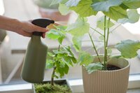 Nature plantenspuit groen 1 liter - afbeelding 2