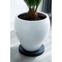 Nature planttrolley antraciet 29 cm rond - afbeelding 3