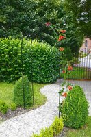 Nature rozenboog 240 cm zwart - afbeelding 2