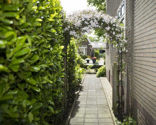 Nature rozenboog metaal zwart 229 cm - afbeelding 2