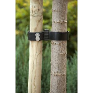 Nature rubber canvas boomband 2 stuks - afbeelding 2