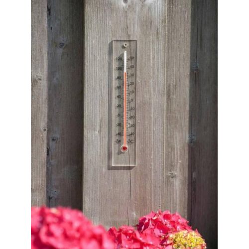 Nature thermometer plexiglas - afbeelding 2