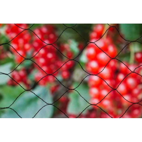 Nature tuinnet primo zwart 10 x 2 meter - afbeelding 2