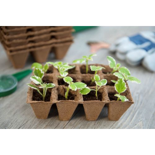 Nature turfpottrays 4x4x5cm - afbeelding 2