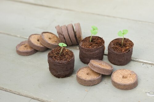 Nature turftabletten D 3,5 cm 18 stuks - afbeelding 2