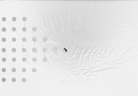 Nature universele kweekfolie zwart/zilver 0.95x5 meter